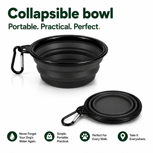 Collapsible dog bowl