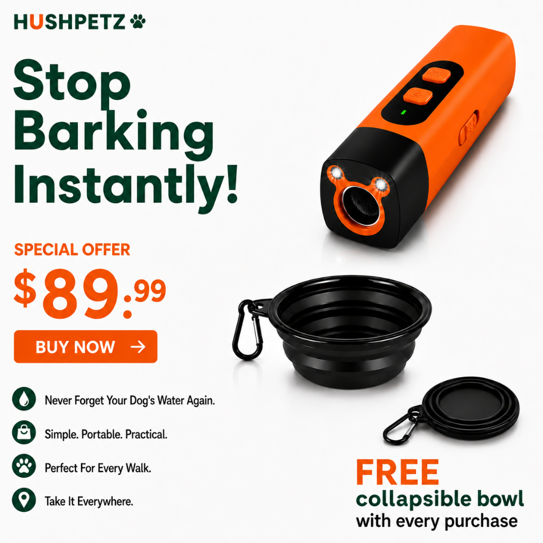 Anti Bark Trainer